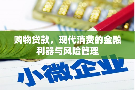 特克斯购物贷款，现代消费的金融利器与风险管理