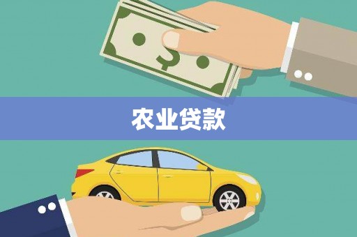 大武农业贷款