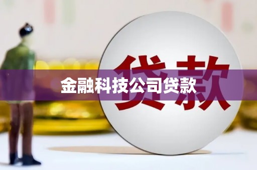 米东金融科技公司贷款