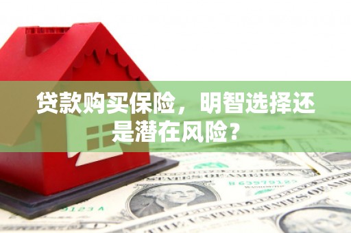 北市贷款购买保险，明智选择还是潜在风险？