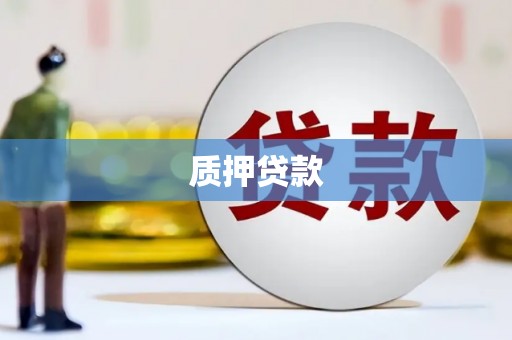 修文质押贷款