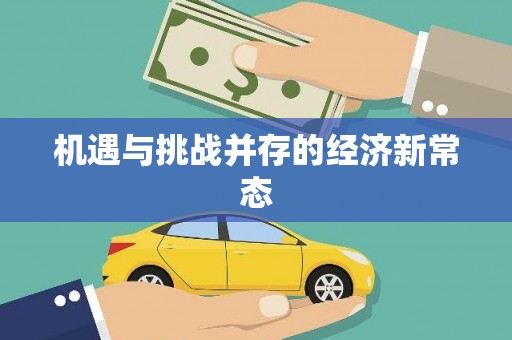 田林机遇与挑战并存的经济新常态