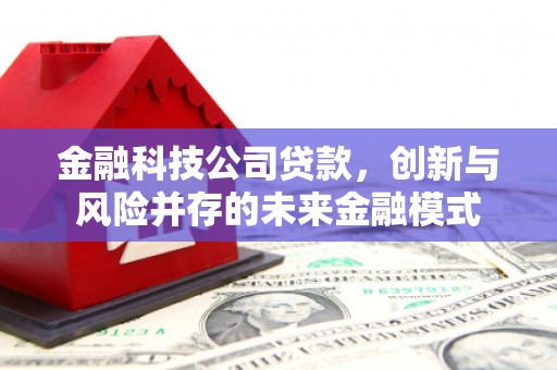 镇康金融科技公司贷款，创新与风险并存的未来金融模式