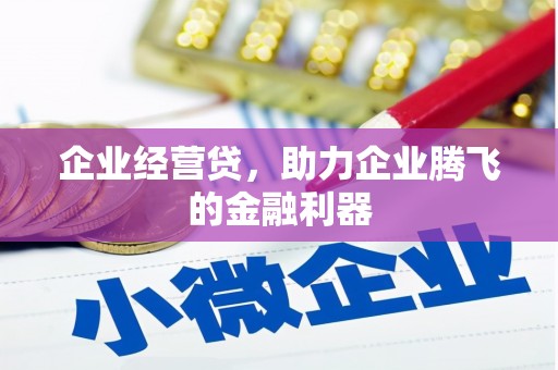 修文企业经营贷，助力企业腾飞的金融利器