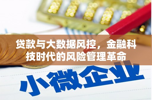 新邱贷款与大数据风控，金融科技时代的风险管理革命