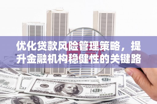 琼结优化贷款风险管理策略，提升金融机构稳健性的关键路径