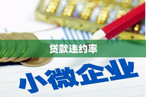 法库贷款违约率