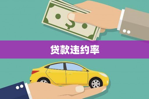 邢台贷款违约率