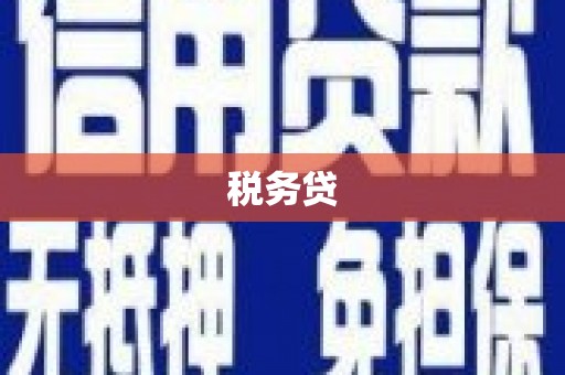 西华税务贷