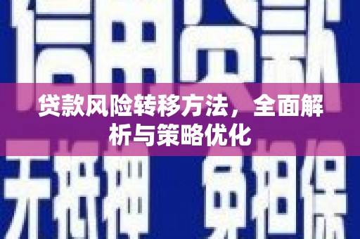 桑植贷款风险转移方法，全面解析与策略优化