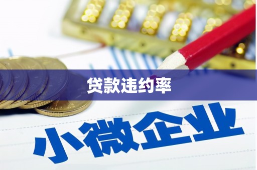 甘南贷款违约率