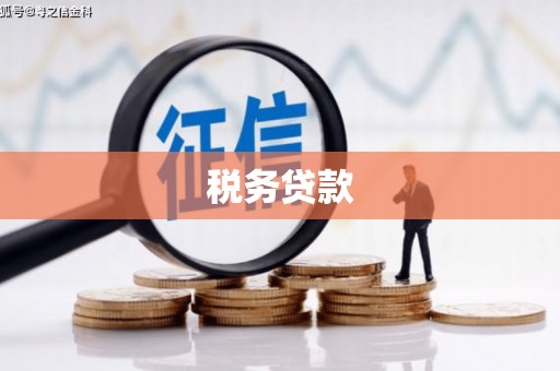 扶绥税务贷款
