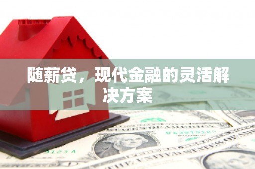 唐县随薪贷，现代金融的灵活解决方案