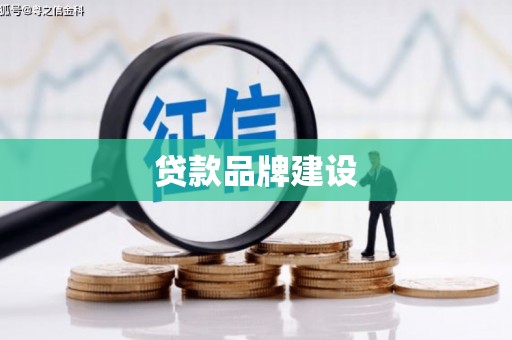 麻山贷款品牌建设
