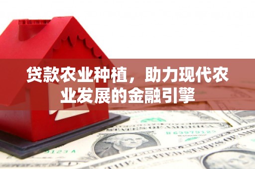 汤阴贷款农业种植，助力现代农业发展的金融引擎