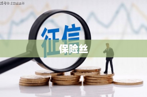 衡阳保险丝