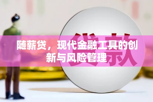 舞阳随薪贷，现代金融工具的创新与风险管理