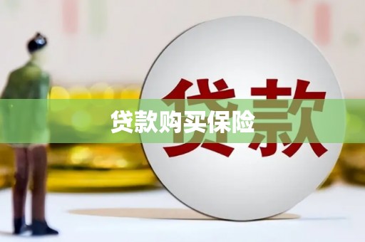 玄武贷款购买保险