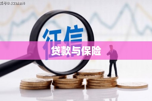 卓尼贷款与保险