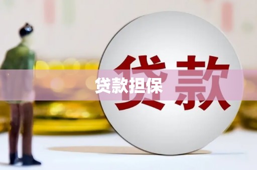 红星贷款担保