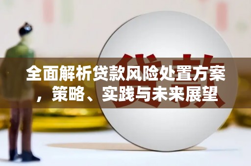 宁波全面解析贷款风险处置方案，策略、实践与未来展望