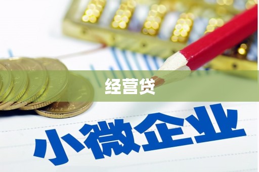 单县经营贷