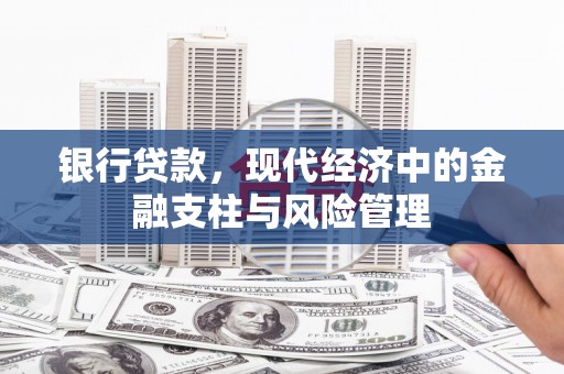 克孜勒苏柯尔克孜银行贷款，现代经济中的金融支柱与风险管理