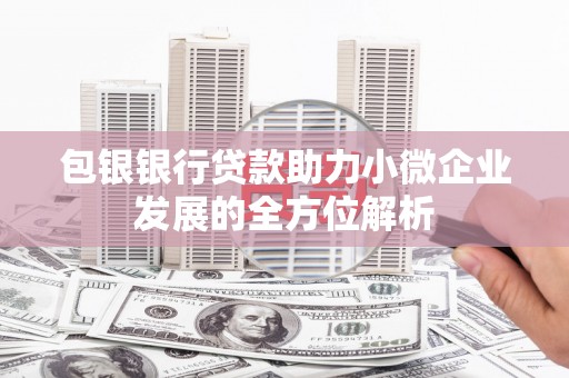 慈溪包银银行贷款助力小微企业发展的全方位解析 慈溪包银银行贷款助力小微企业发展的全方位解析