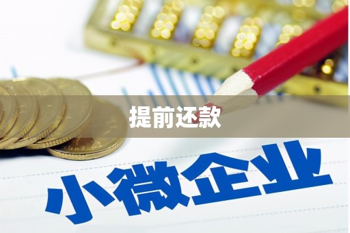 博山提前还款