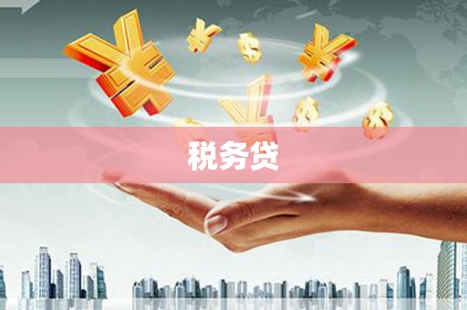 竹崎税务贷