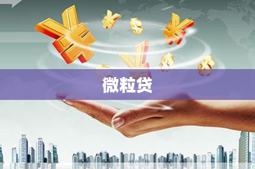 三角微粒贷