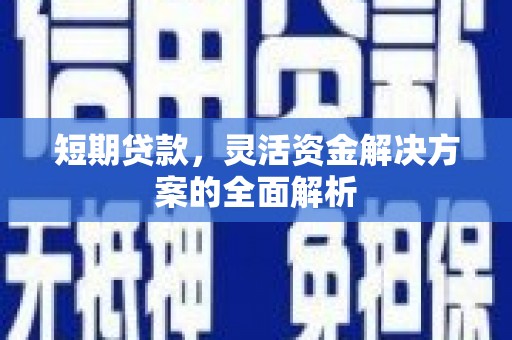 泰来短期贷款，灵活资金解决方案的全面解析