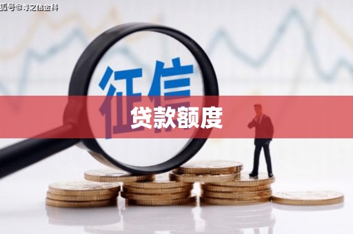 新泰贷款额度