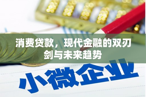 泽普消费贷款，现代金融的双刃剑与未来趋势