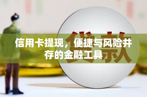 洋山信用卡提现，便捷与风险并存的金融工具