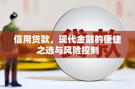 邵东信用贷款，现代金融的便捷之选与风险控制