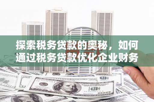 建宁探索税务贷款的奥秘，如何通过税务贷款优化企业财务