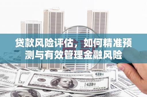 历城贷款风险评估，如何精准预测与有效管理金融风险