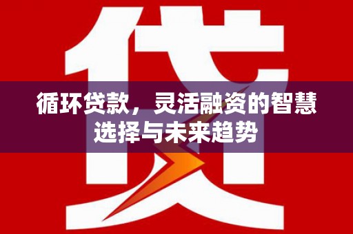 安康循环贷款，灵活融资的智慧选择与未来趋势