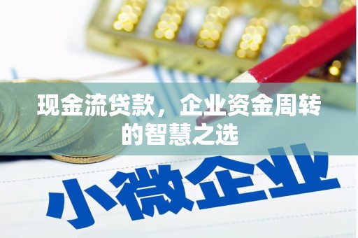 崖州现金流贷款，企业资金周转的智慧之选