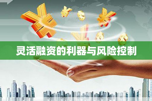 高树灵活融资的利器与风险控制