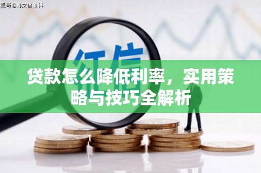 普陀贷款怎么降低利率，实用策略与技巧全解析