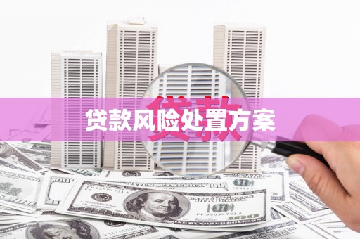云南贷款风险处置方案