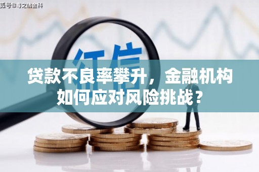 息县贷款不良率攀升，金融机构如何应对风险挑战？