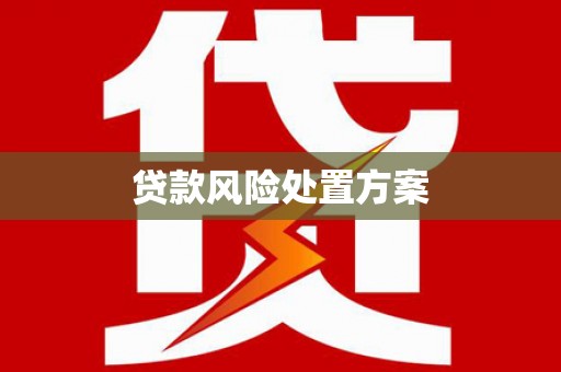 福建贷款风险处置方案