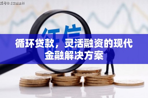 大邑循环贷款，灵活融资的现代金融解决方案