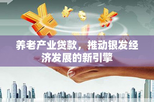 舞阳养老产业贷款，推动银发经济发展的新引擎