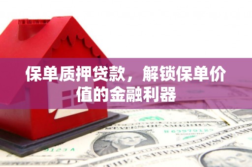 奎文保单质押贷款，解锁保单价值的金融利器
