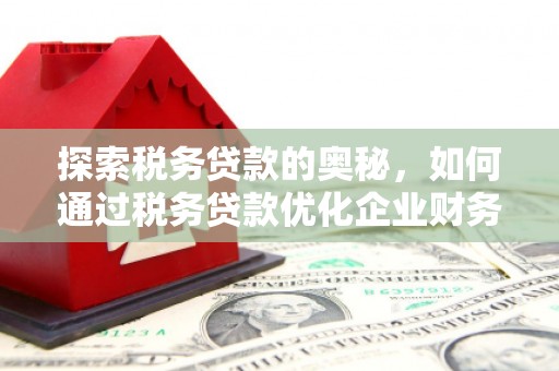 雾台探索税务贷款的奥秘，如何通过税务贷款优化企业财务
