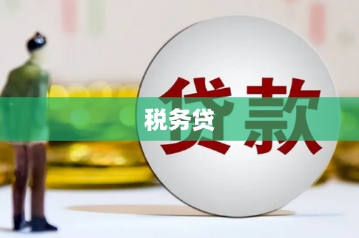 保德税务贷